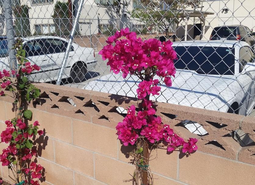 기타 사진