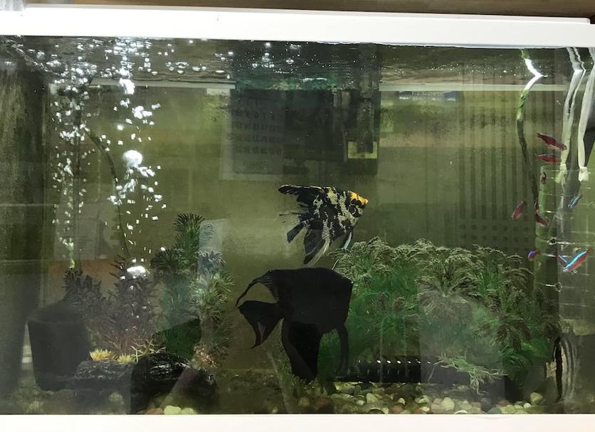 기타 사진