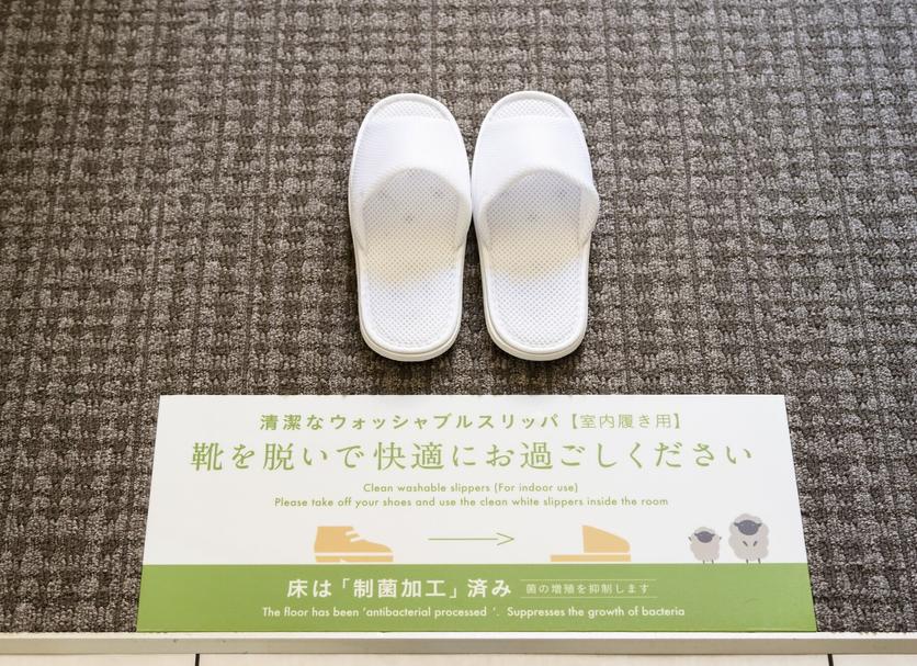 기타 사진