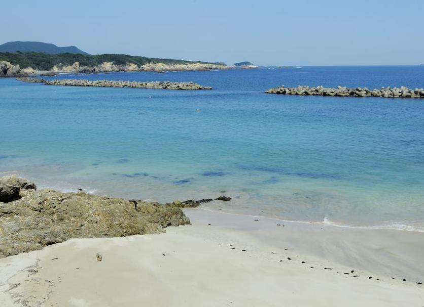 해변 사진