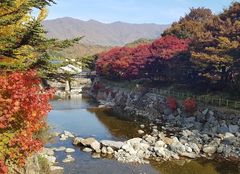 기타 사진