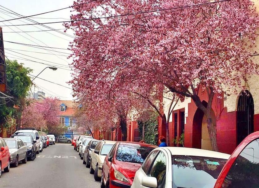 기타 사진