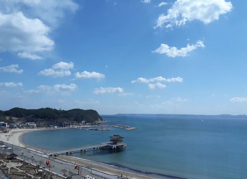 기타 사진