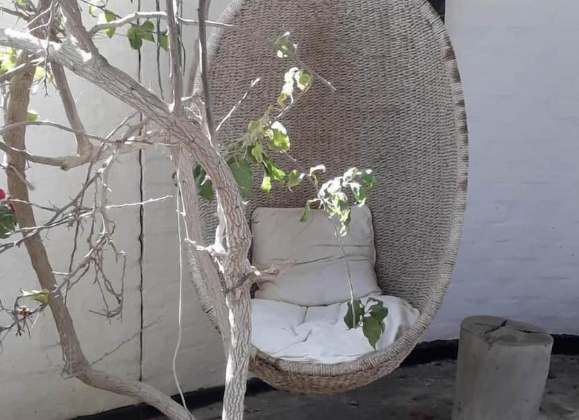 기타 사진