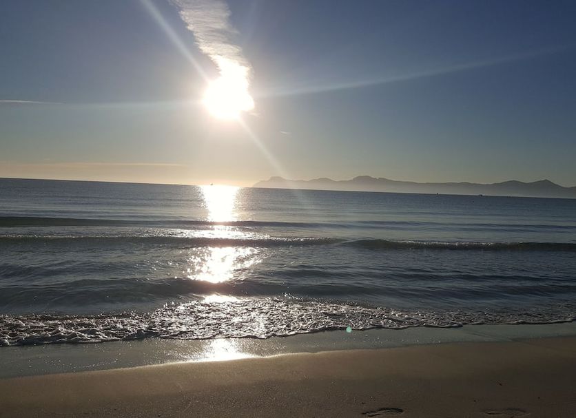 해변 사진