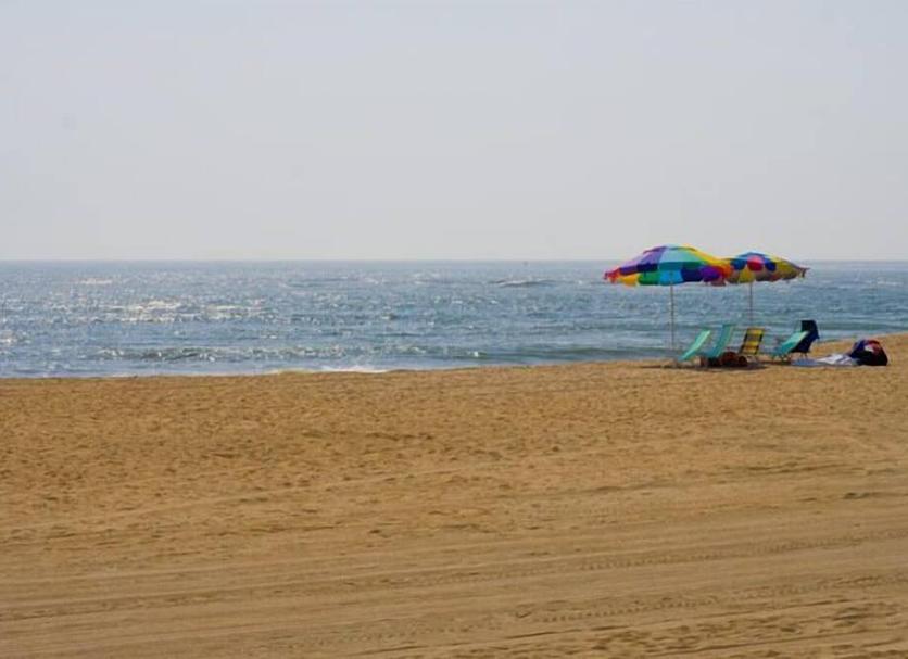 해변 사진