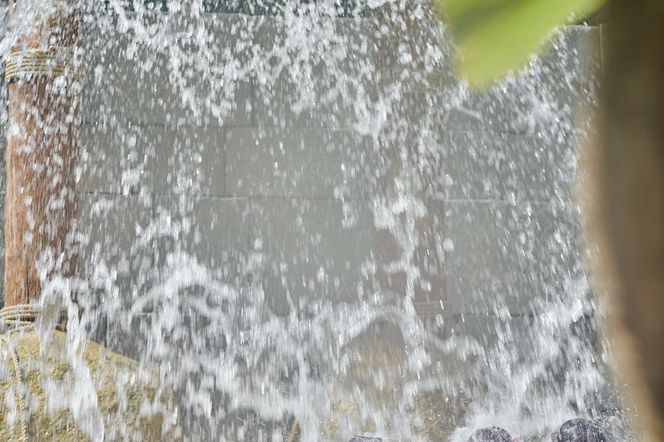 파크로얄 페낭 리조트