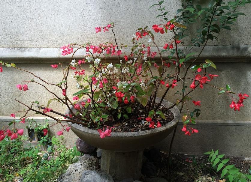야외뷰 사진