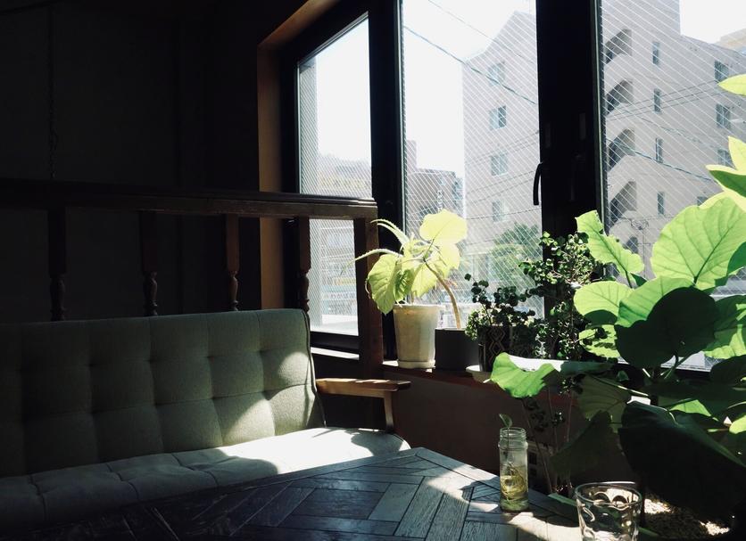 기타 사진