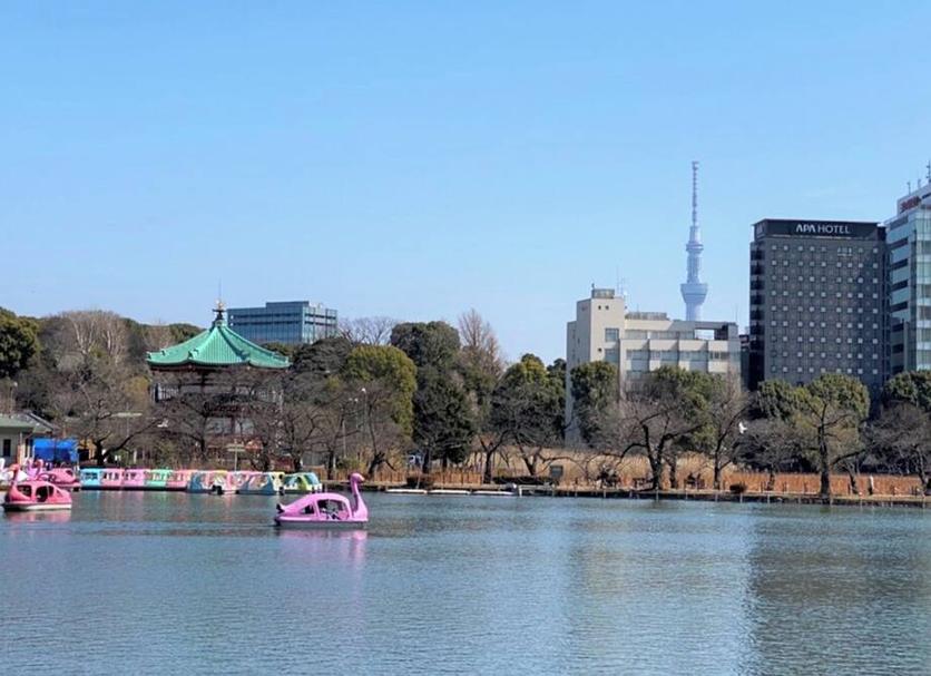 야외뷰 사진