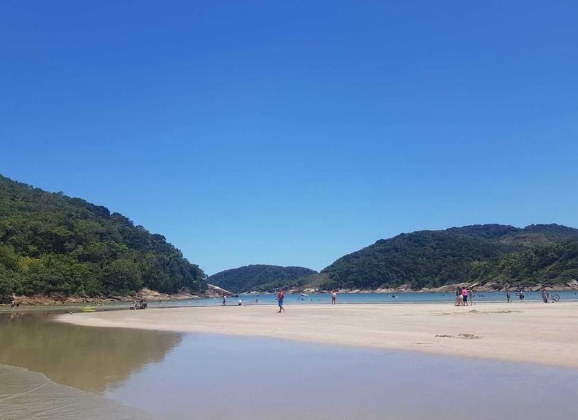 해변 사진