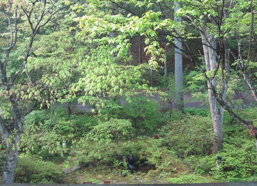 야외뷰 사진