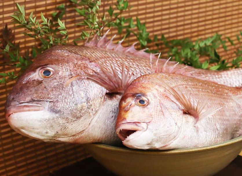기타 사진
