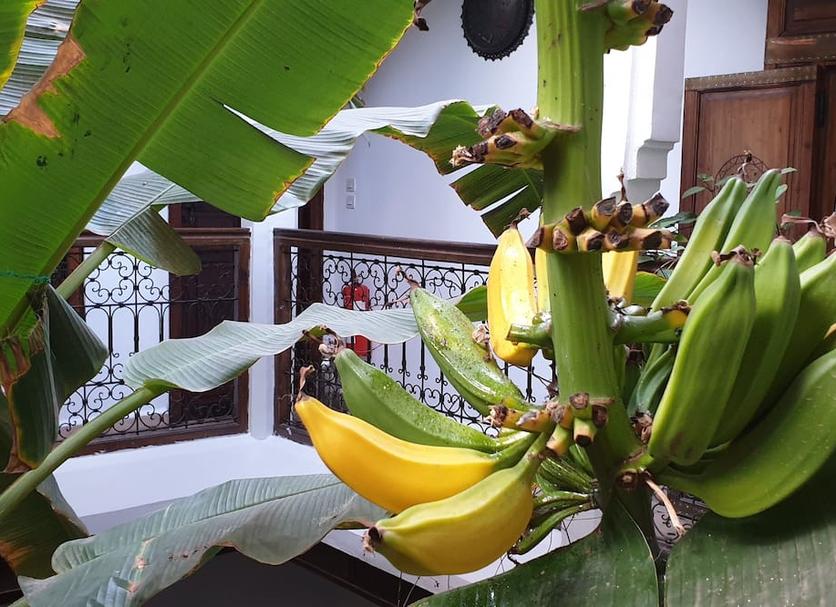 기타 사진