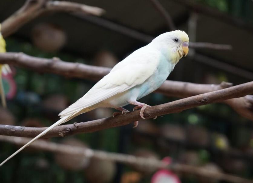기타 사진