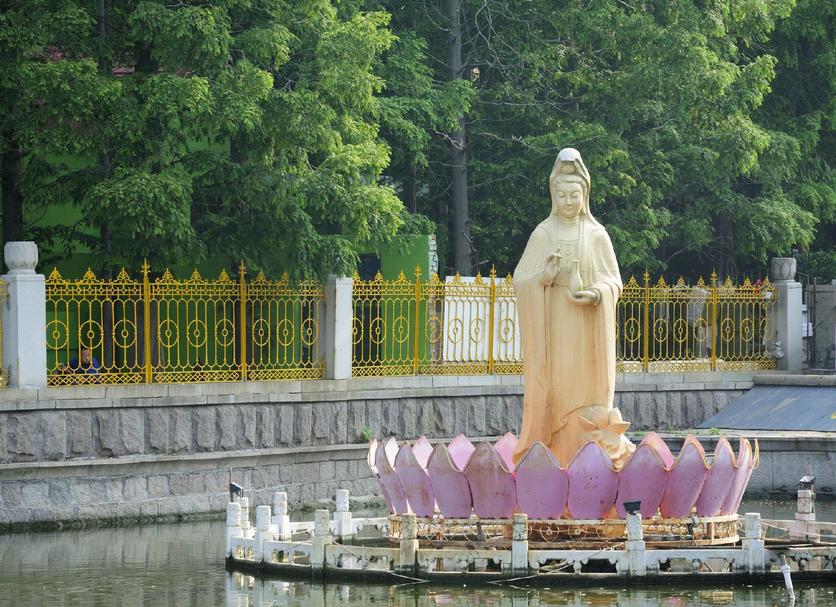 기타 사진