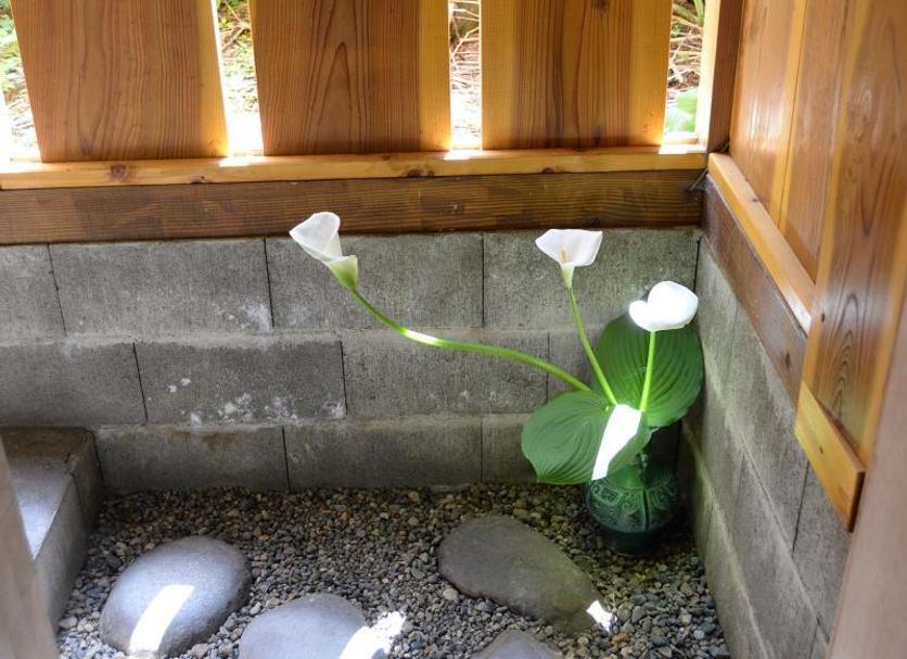 기타 사진