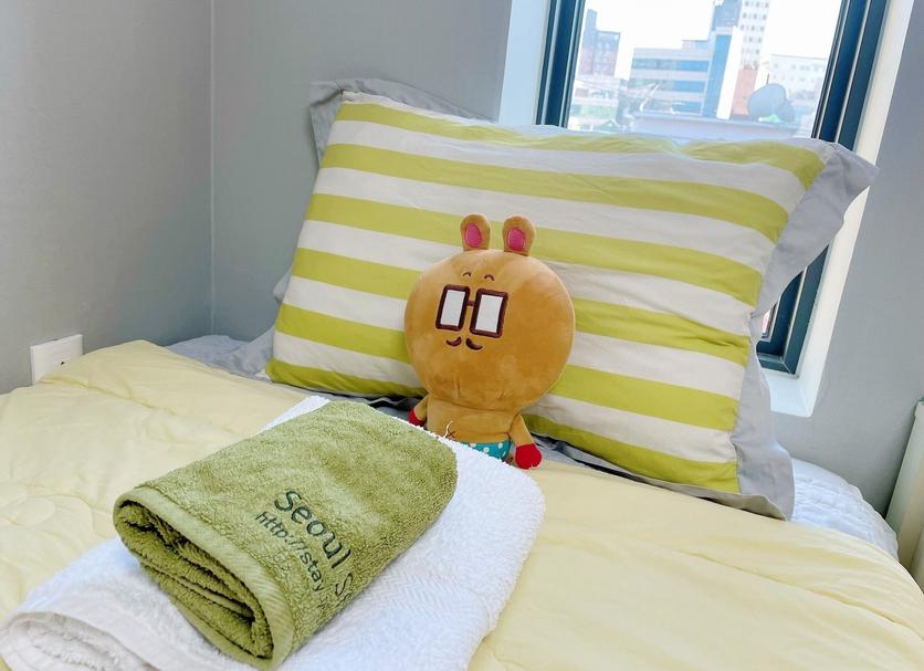 기타 사진