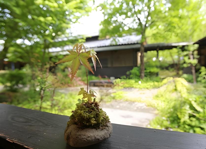 야외뷰 사진