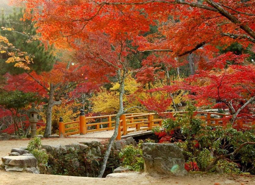 야외뷰 사진