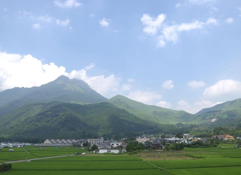 야외뷰 사진