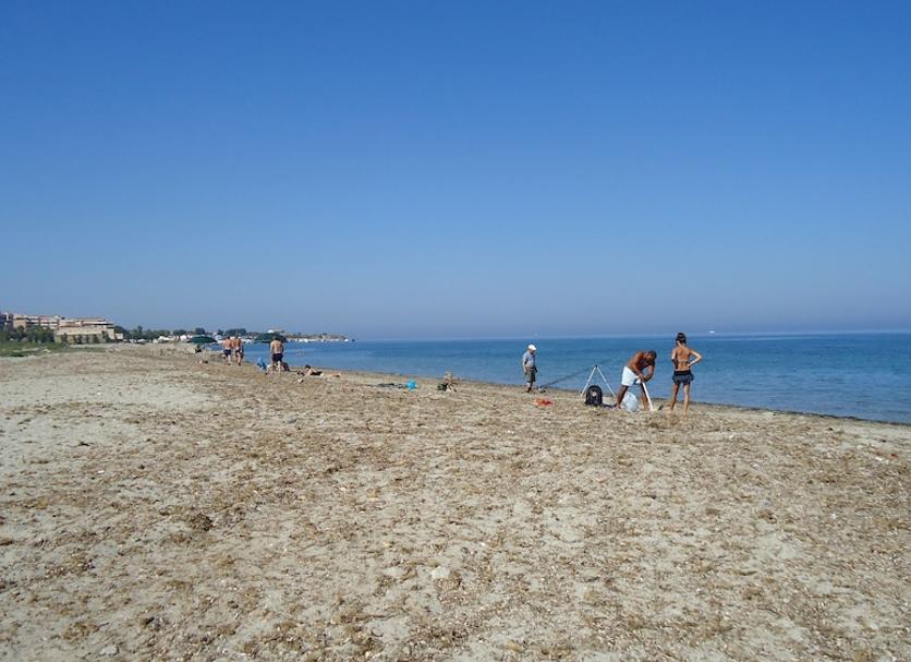 해변 사진