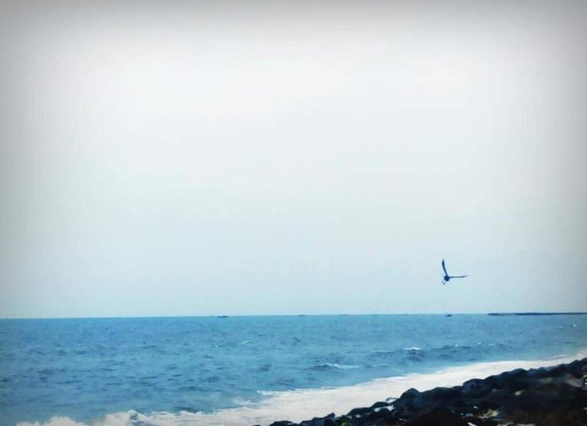기타 사진
