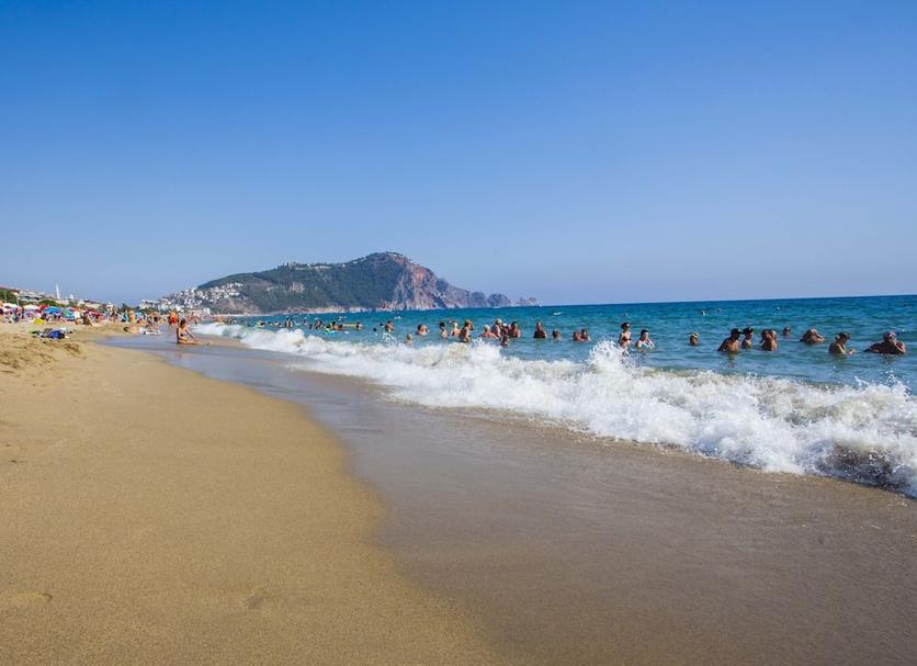 해변 사진