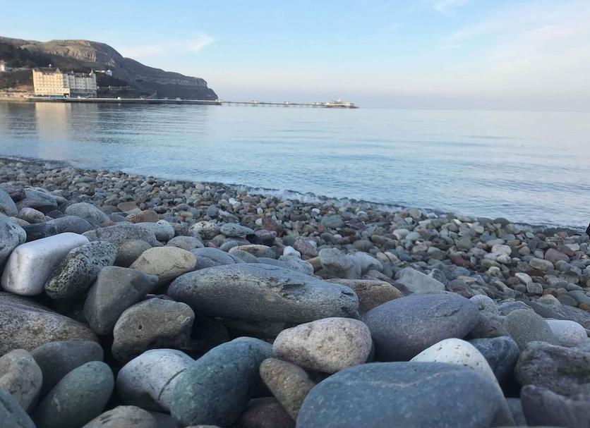 해변 사진
