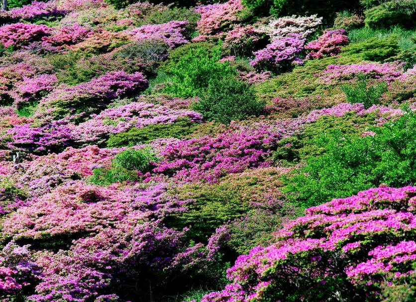 야외뷰 사진
