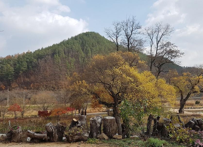 야외뷰 사진