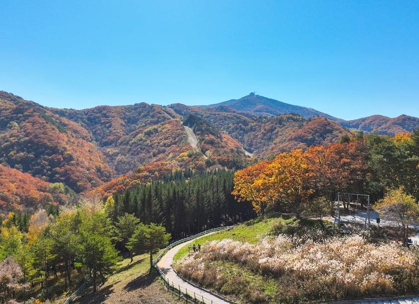 야외뷰 사진