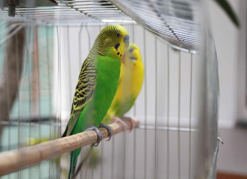 기타 사진