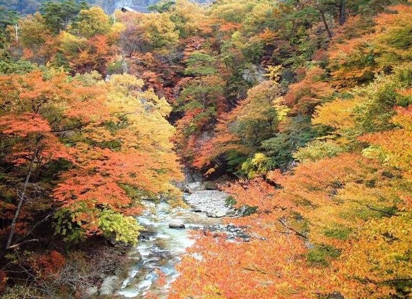 야외뷰 사진