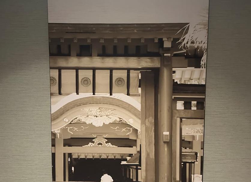 기타 사진