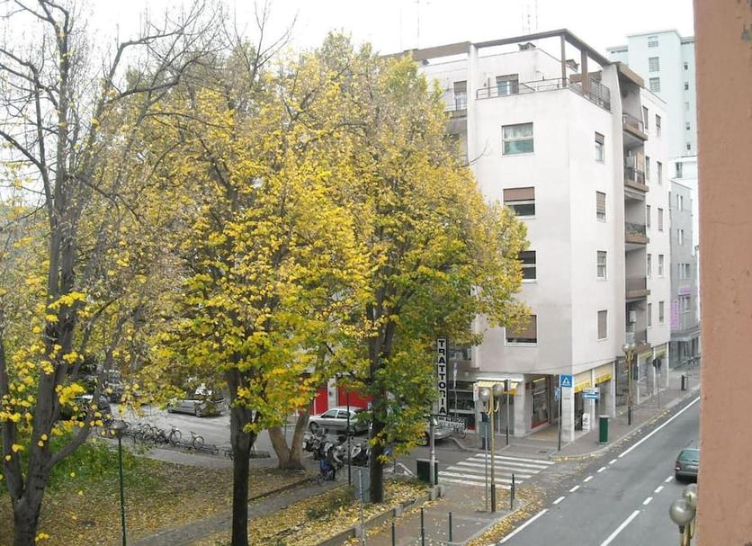 기타 사진