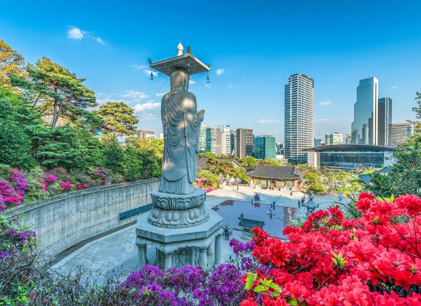 기타 사진
