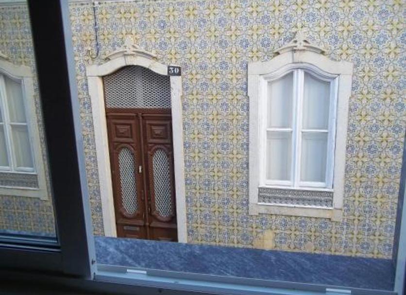 기타 사진