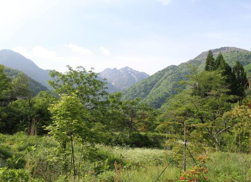 야외뷰 사진