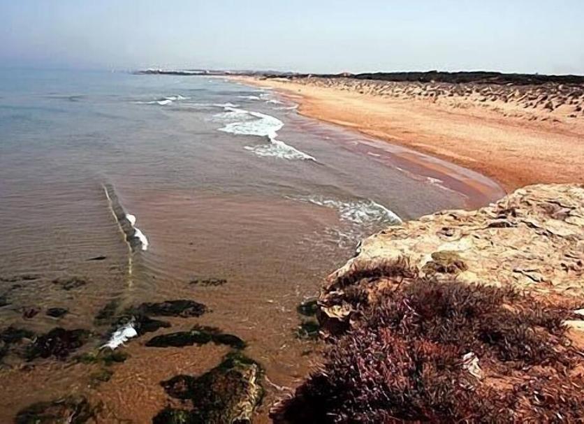 해변 사진