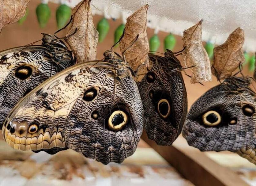 기타 사진