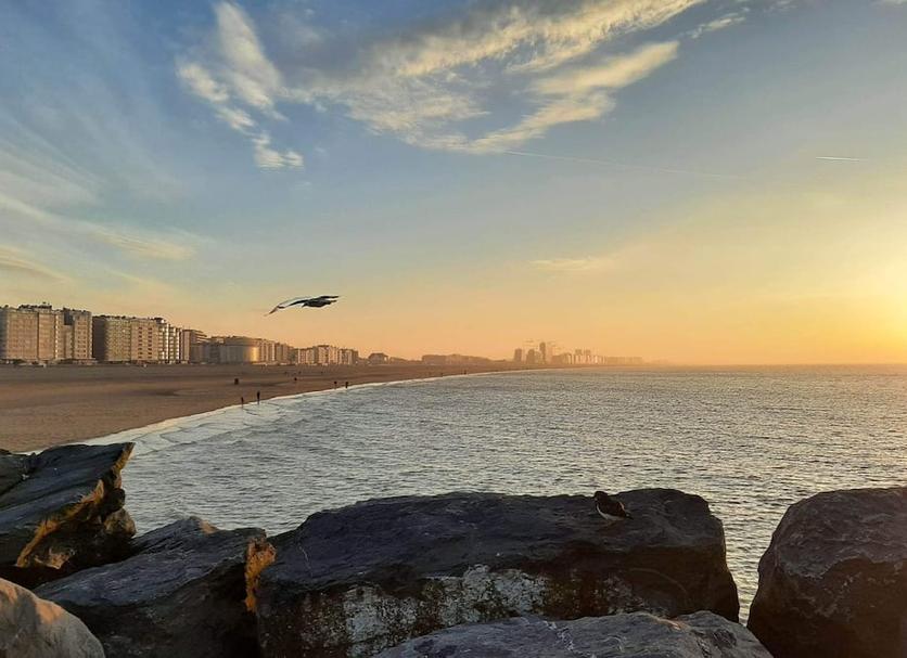 기타 사진