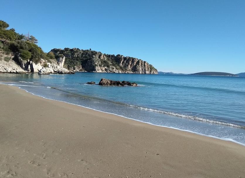 해변 사진