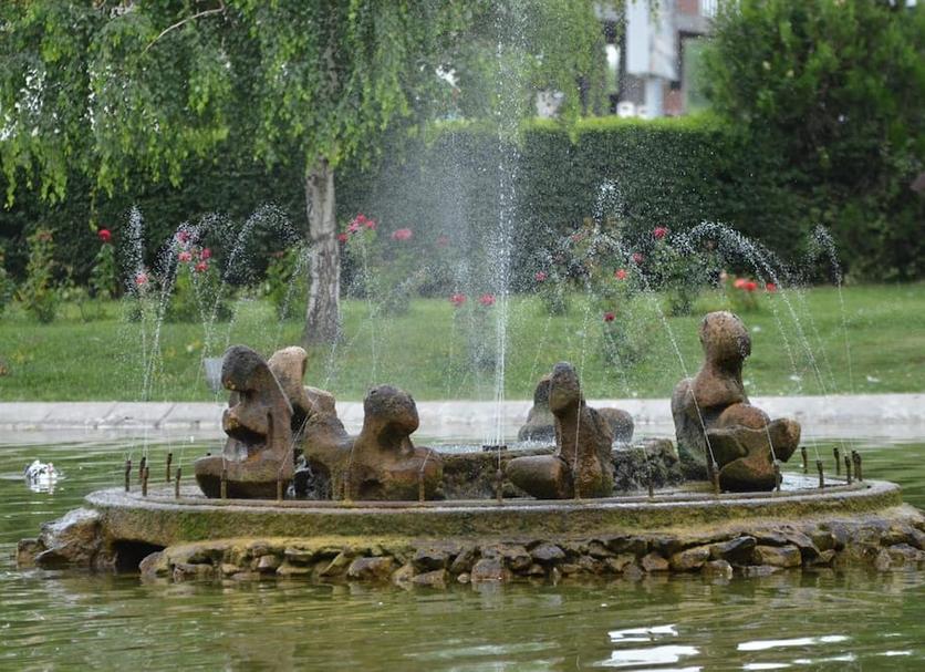 기타 사진