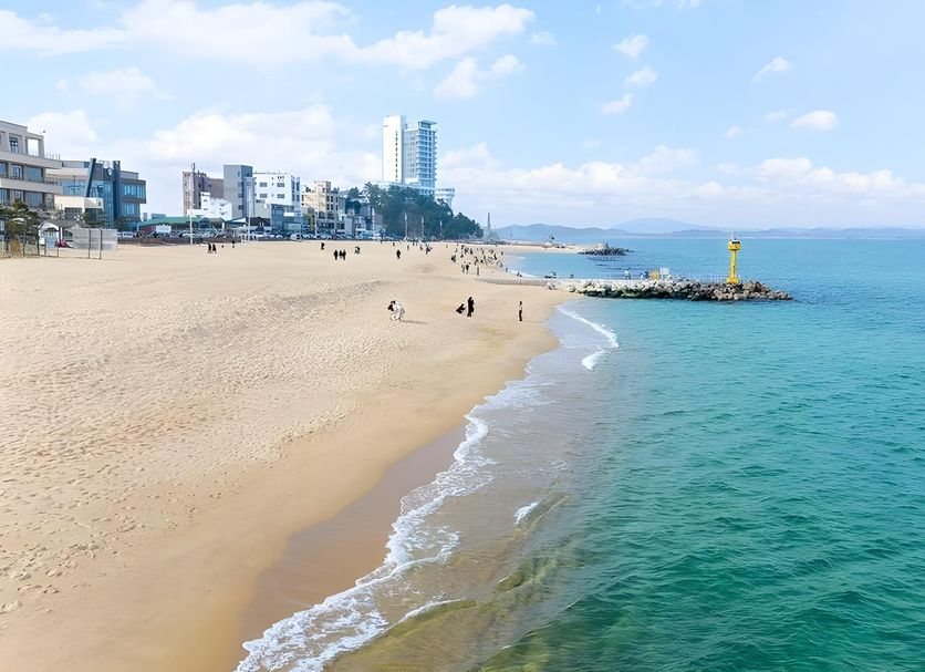 해변 사진