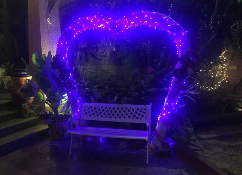 기타 사진