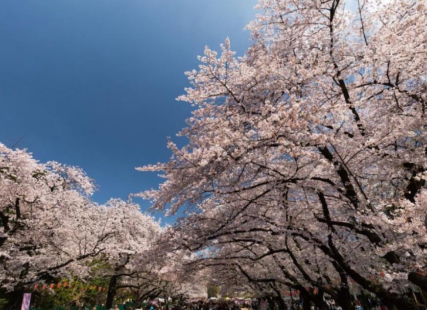 야외뷰 사진