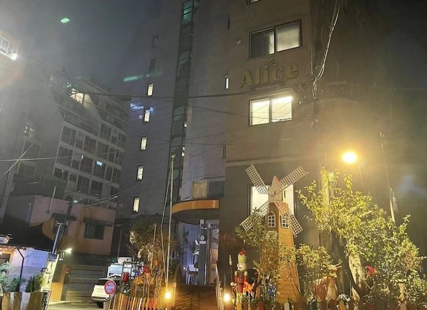 기타 사진