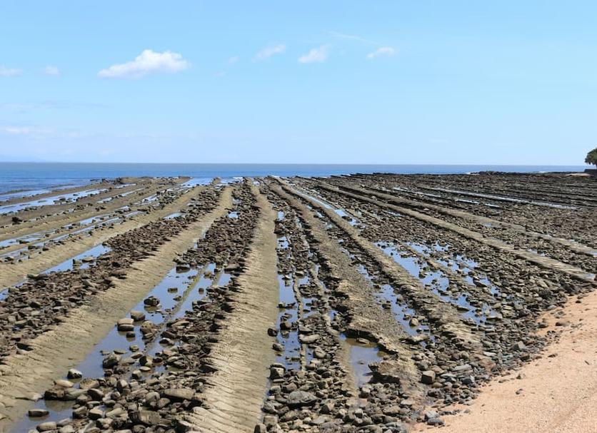 해변 사진