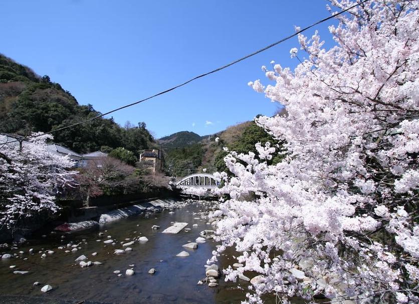 야외뷰 사진